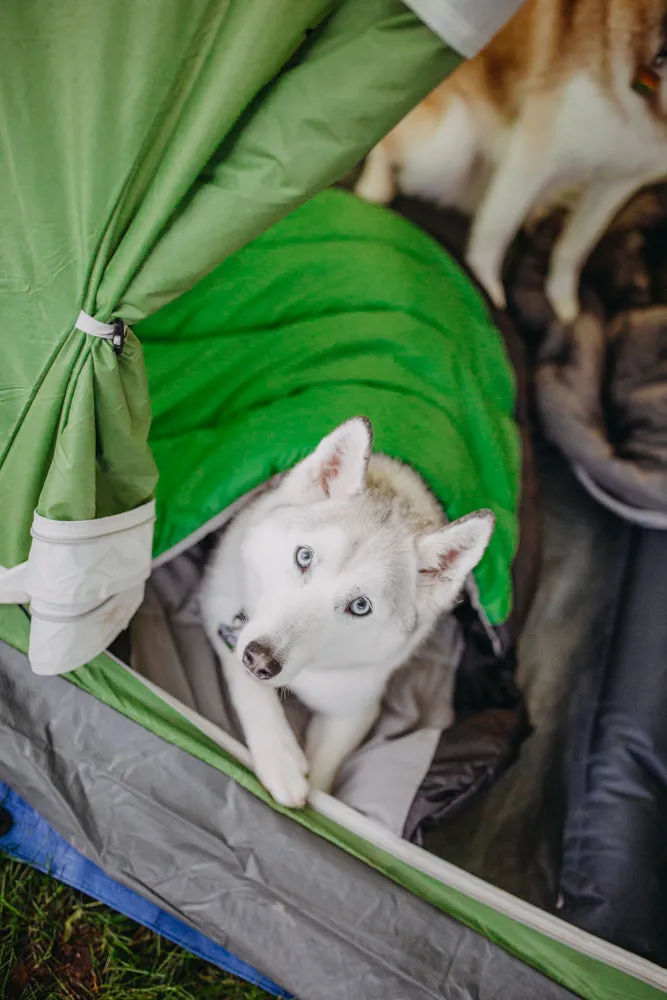 Alcott Explorer Dog Sleeping Bag