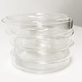 Glass Dishes